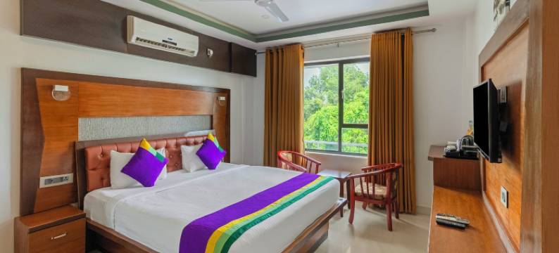 Treebo高级帕尔梅拉米尔福德，距离阿拉普萨海滩2公里(Treebo Premium Palmyra Milford, 2 Km from Alleppey Beach)图片