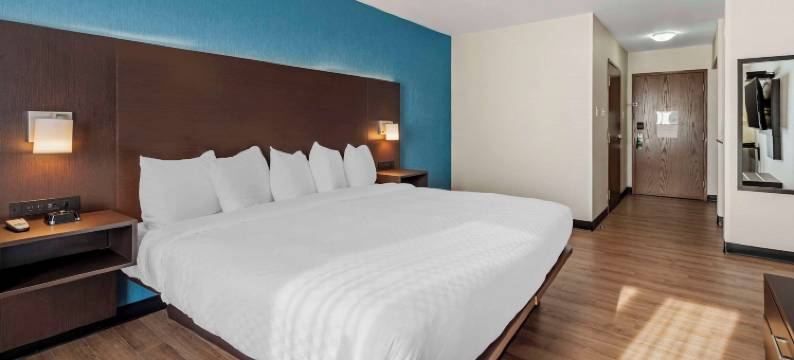 新奥尔良品质酒店(Quality Inn)图片