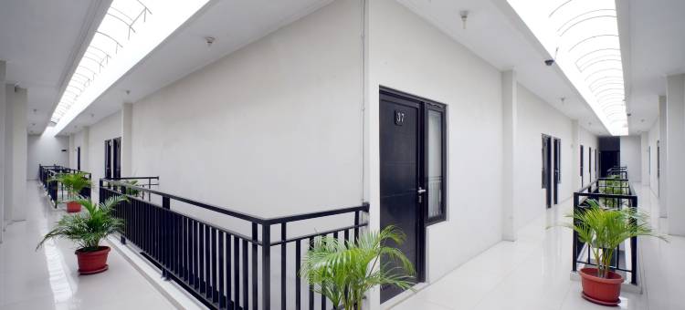 德帕拉贡特利哥拉旅舍(D'Paragon Trikora)图片