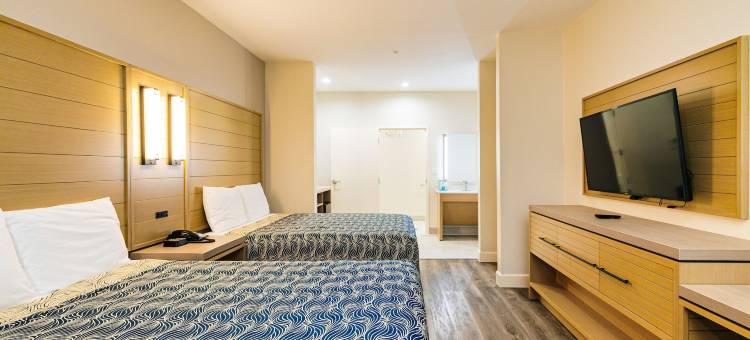 蓝宫酒店东IAH(Palace Inn Blue IAH East)图片