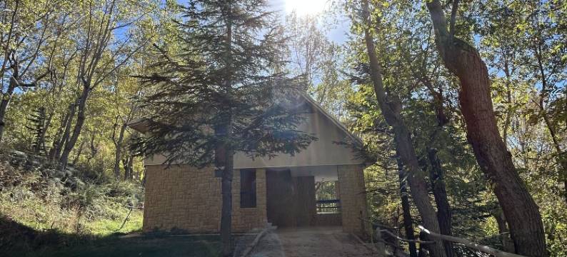 Nirvana酒店(Nirvana Hotel)图片