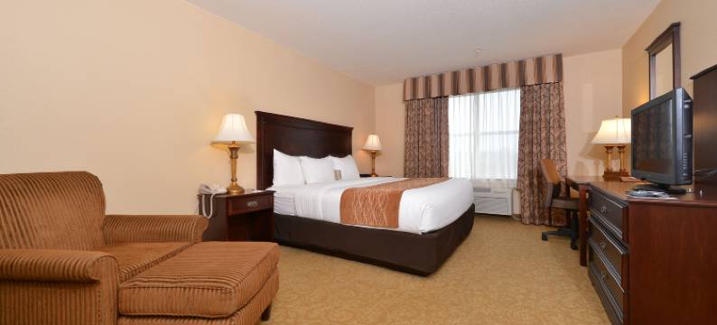 麦克明维尔酒乡舒适套房酒店(Comfort Inn & Suites McMinnville Wine Country)图片