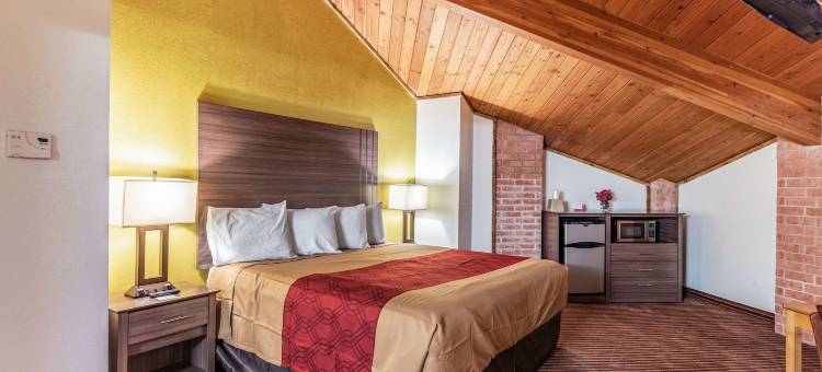 伊克诺旅馆套房酒店(Econo Lodge Inn & Suites)图片