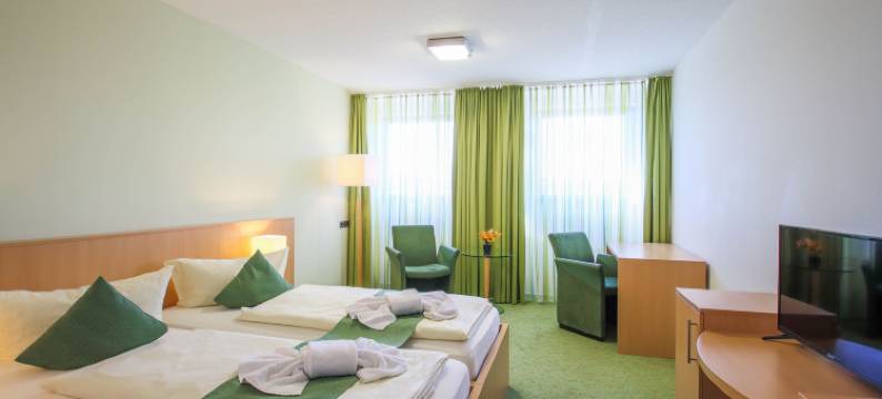 温特尔贝格全景酒店(Panorama Hotel Winterberg)图片