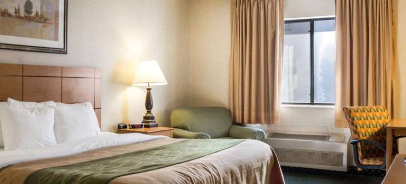 舒适酒店(Comfort Inn)图片