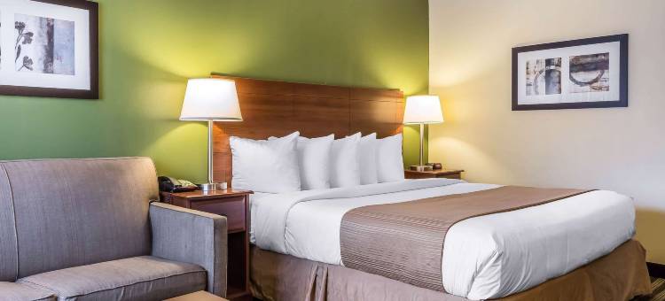 凯艺酒店-弗拉明戈(Quality Inn Flamingo)图片