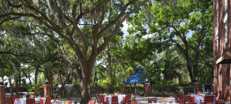 东坦帕/布兰登希尔顿花园酒店(Hilton Garden Inn Tampa-East/Brandon)图片