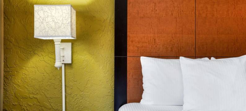 拉昆塔温德姆酒店-坦帕机场体育场西岸(La Quinta Inn Tampa Airport Stadium Westshore)图片