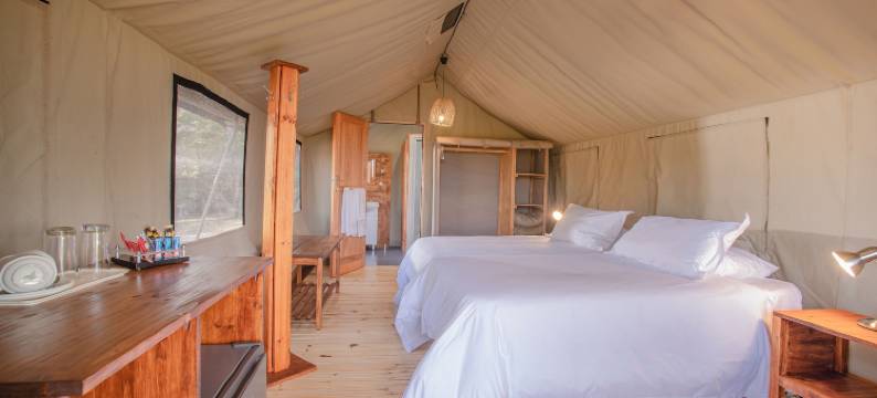 坎本尼野生动物园营地(Nkambeni Safari Camp)图片