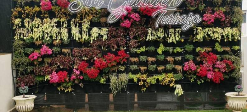 索尔圣卢卡酒店(Hotel Sol Sanlúcar)图片