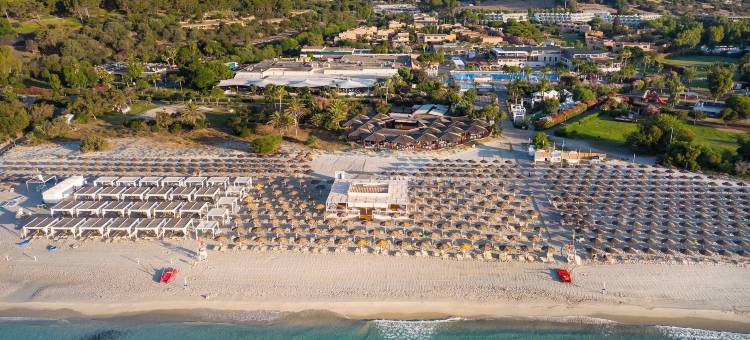 VOI Tanka Selected图片