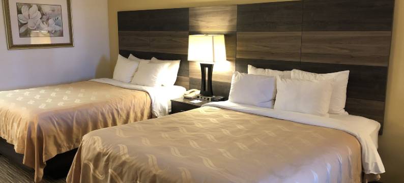 品质酒店 贝内茨维尔(Quality Inn Bennettsville)图片