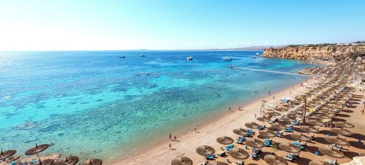 礁石绿洲海滩度假酒店(Reef Oasis Beach Aqua Park Resort)图片