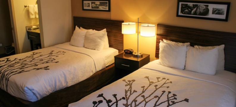 安眠酒店(Sleep Inn)图片