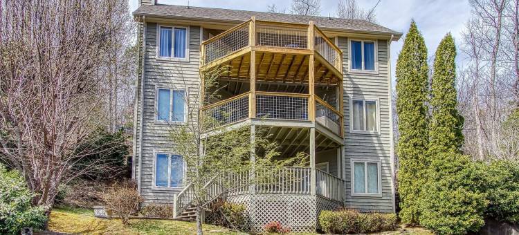 树梢由HoneyBear小屋(Tree Tops by HoneyBear Cabins)图片