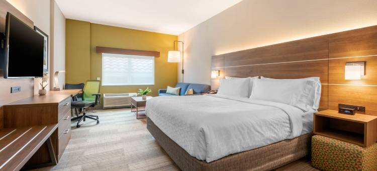 智选假日套房酒店-圣彼得斯堡/塞米诺尔区(Holiday Inn Express & Suites ST. Petersburg - Madeira Beach)图片