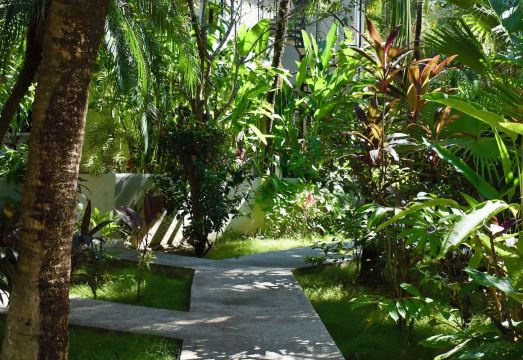 Fuego Lodge Hotel Overview