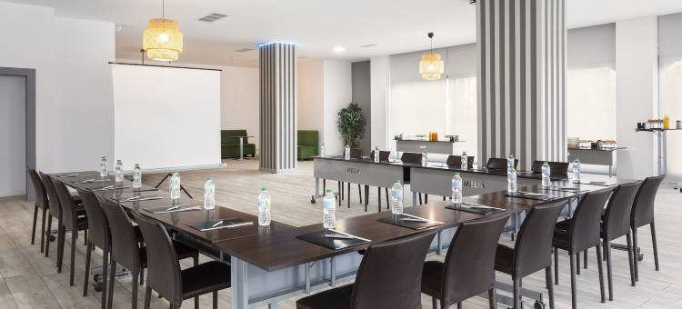 马德里昌马丁美利亚旗下酒店(Hotel Madrid Chamartín Affiliated by Meliá)图片