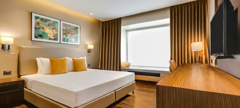 维曼纳加尔柠檬树酒店(Lemon Tree Hotel Viman Nagar Pune)图片