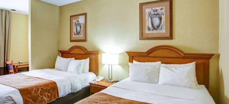 布伦纳姆舒适全套房酒店(Comfort Suites)图片