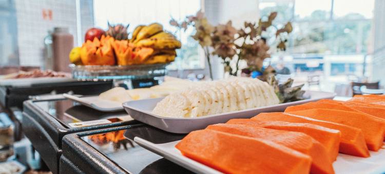 菲里昂广场酒店(Ferian Plaza Hotel)图片