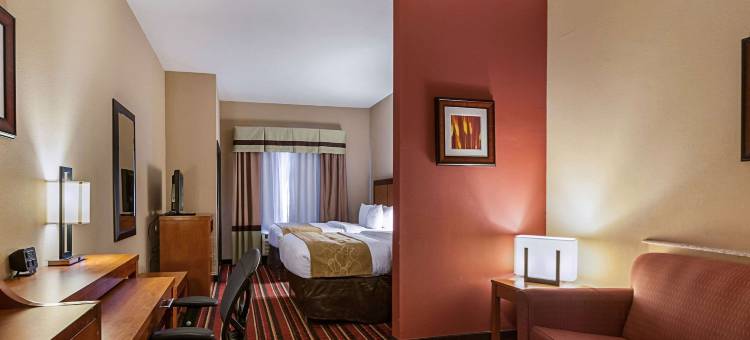 萨尔弗 - 查尔斯湖舒适套房酒店(Comfort Suites Sulphur-Lake Charles)图片