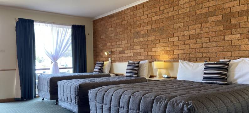 纳兰德拉纽厄尔汽车旅馆(Newell Motor Inn Narrandera)图片