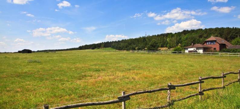 菲比酒店 - 乡村旅馆(Country Inn Suitenhotel)图片