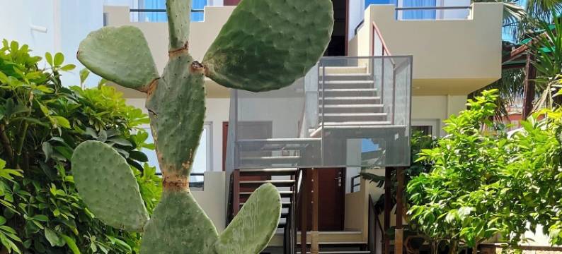 法德拉海滩酒店(Faedra Beach)图片