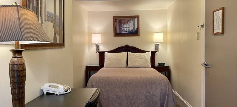 绿洲宾馆(Oasis Guest House)图片