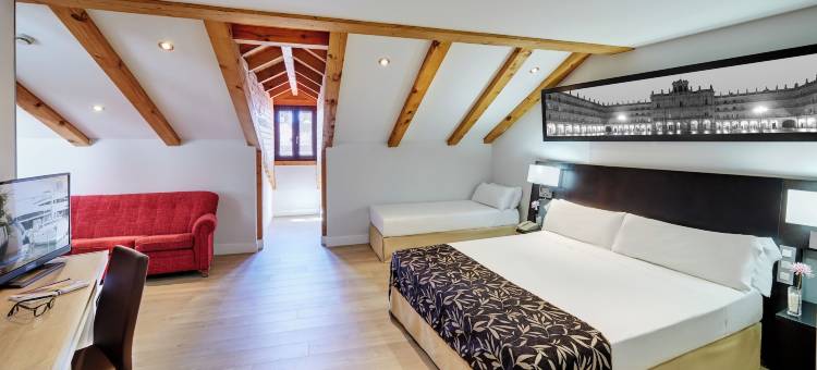 拉斯托雷斯斯考特而酒店(Sercotel Las Torres)图片