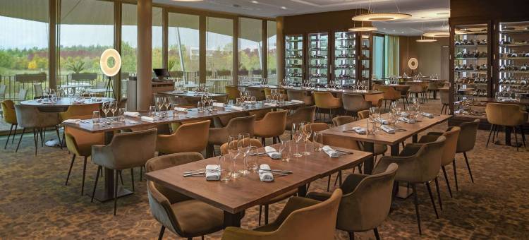 里昂欧洲博览馆希尔顿逸林酒店及度假村(Doubletree by Hilton Lyon Eurexpo & Spa)图片