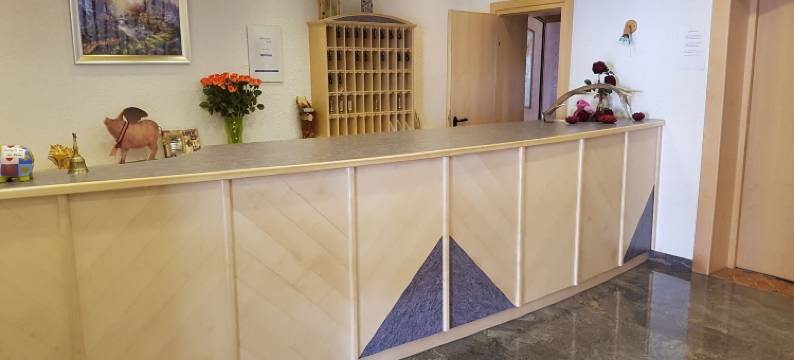 奥塞酒店(Osserhotel - B&B am Osser)图片