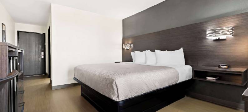 杜马斯伊克诺旅馆(Econo Lodge Dumas)图片