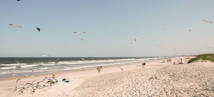 杰克逊维尔海滩源宿酒店(Element Jacksonville Beach)图片