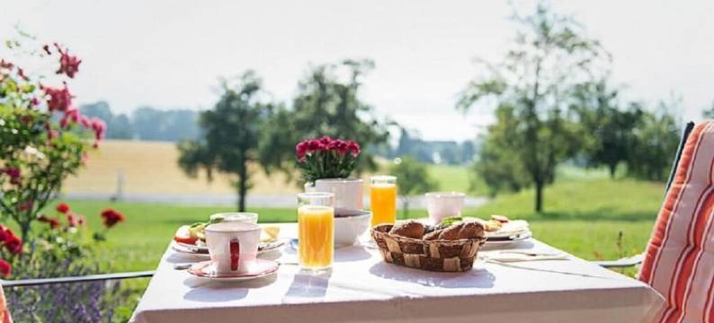 哈伯尔酒店在阿特湖(Hotel Haberl - Attersee)图片