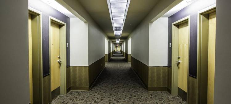 希尔顿阿蒂西亚Spark(Spark by Hilton Artesia)图片