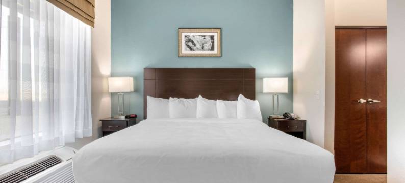 MainStay 套房 大斯普林北 I-20(MainStay Suites Big Spring North I-20)图片