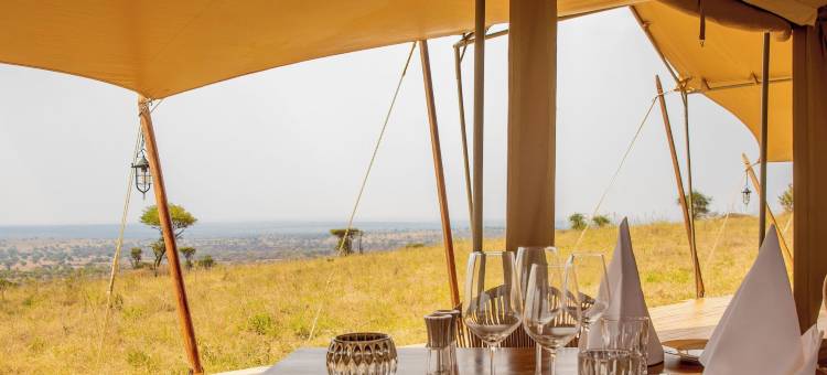 塞伦盖蒂豪华度假村(Serengeti Luxury Retreat)图片