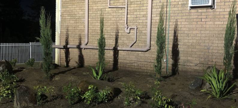 塞斯诺克温提芝汽车旅馆(Cessnock Vintage Motor Inn)图片