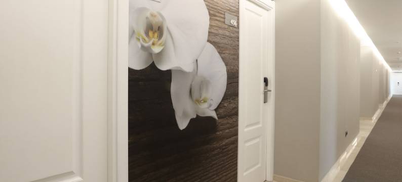 卡丽屋酒店及绿洲水疗中心(Hotel Son Caliu Spa Oasis)图片