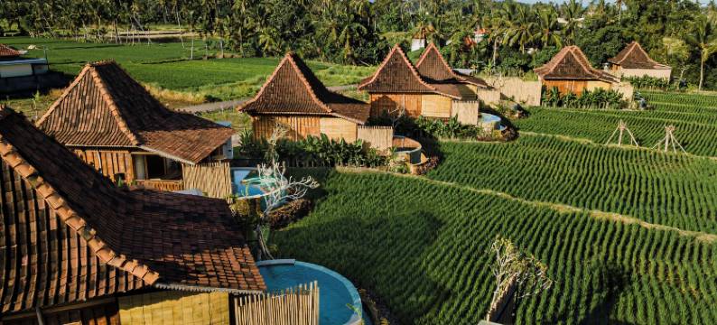 乌布 DITUJU(DITUJU Ubud by GenuineHost)图片