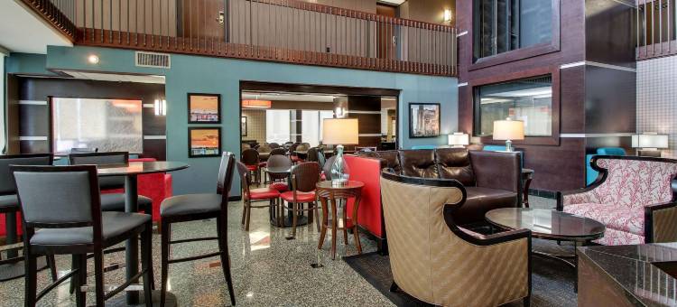 休斯顿加勒里亚德鲁里套房酒店(Drury Inn & Suites Houston Galleria)图片