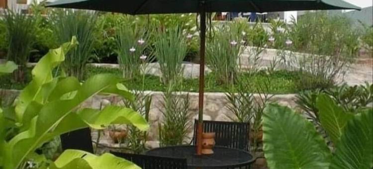 地球之母(Terramaya)图片