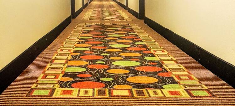 里士满-布罗德街速8酒店(Super 8 by Wyndham Richmond/Broad Street)图片