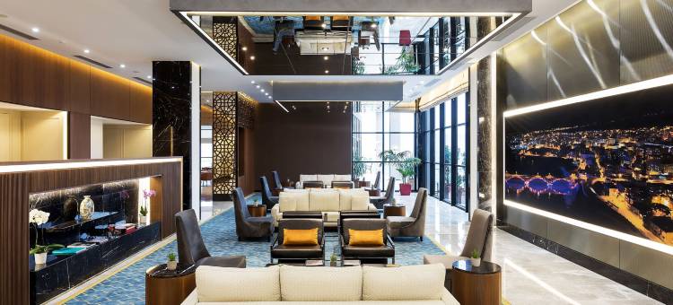 杰德曼齐兹勒(Dedeman Cizre Hotel)图片