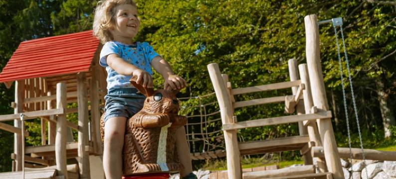 沃德安诺柴帕斯酒店(Das Waldhotel - Genuss & Wellness am Notschreipass)图片