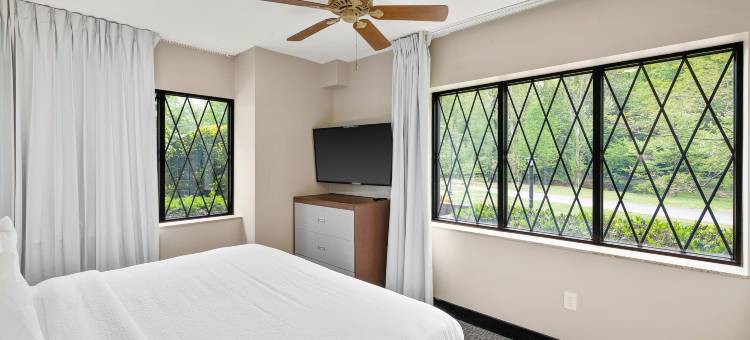 夏洛茨维尔英式酒店(The English Inn of Charlottesville)图片