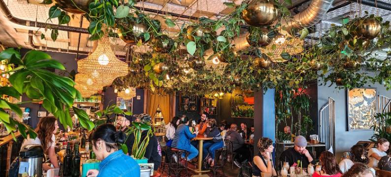 朱庇特酒店(Jupiter Hotel)图片