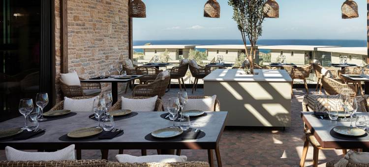 为成人设计的King Jason Zante(King Jason Zante – Designed for Adults)图片